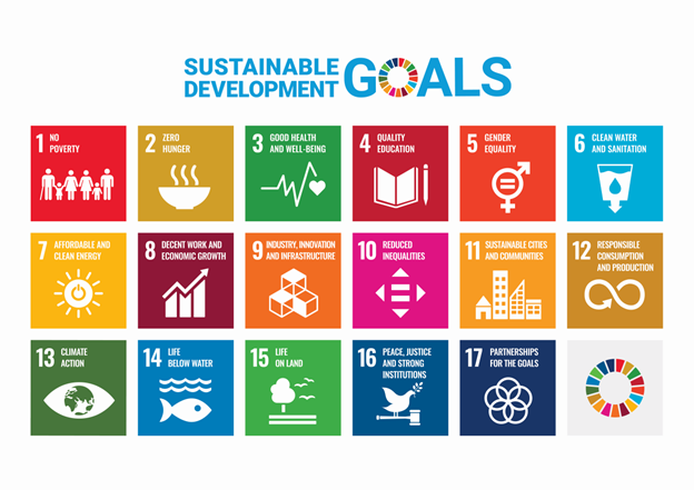 Sustainable Development Goals Icons