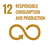 SDG 12 Responsible consumption & production