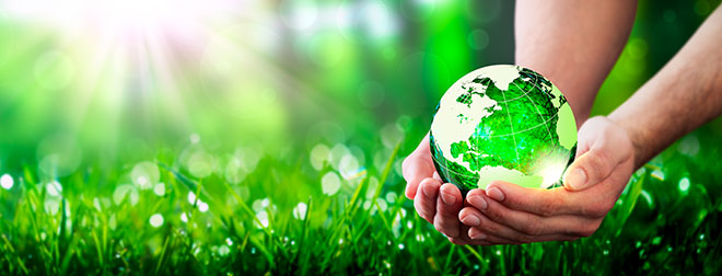 Glass globe in grass