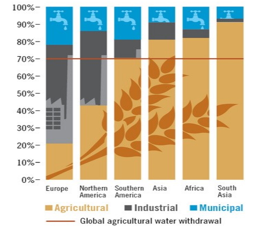 Global agricultural water withdrawal