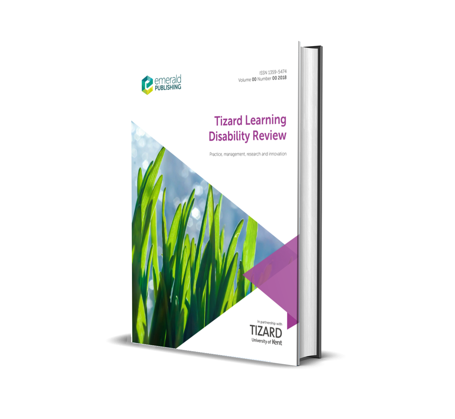 Tizard Learning Disability Review cover